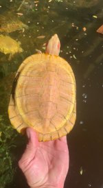 IMG_1423.jpeg
