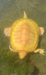 IMG_1326.jpeg