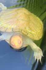 IMG_1325.jpeg