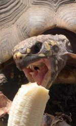 IMG_0928.jpeg