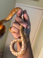 IMG_3283.jpeg