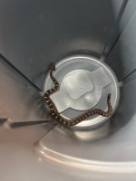 IMG_5307.jpeg