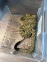IMG_9449.jpeg