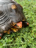IMG_7253.jpeg