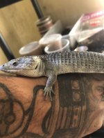 IMG_4430.jpeg