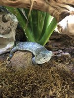 IMG_4427.jpeg