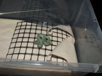 IMG_0865.jpeg