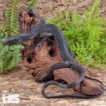 ug_Black Monitor_4.jpg