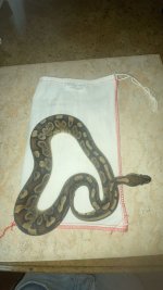 IMG_0772.jpeg
