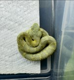 IMG_6831.jpeg