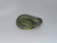 IMG_6832.jpeg