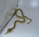 IMG_6833.jpeg