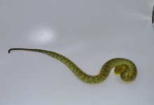 IMG_6834.jpeg