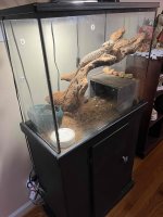 IMG_0537.jpeg