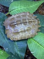 IMG_3029 Small.jpeg