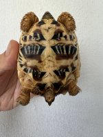 IMG_1465.jpeg