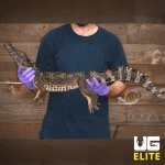 ugelite_adult smooth_front_caiman_auction_2.jpg