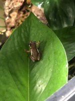 IMG_4703.jpeg