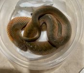 IMG_8251.jpeg