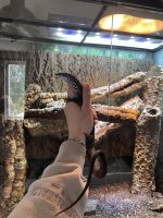 IMG_1431.jpeg