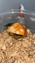 IMG_3512.jpeg