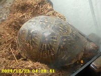 PICT0063.jpg