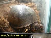 PICT0062.jpg