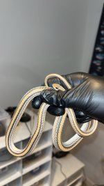 IMG_3537.jpeg