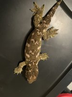 IMG_0707.jpeg