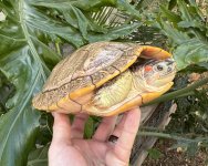 IMG_2269.jpeg