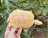 IMG_2273.jpeg