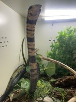 IMG_0230.jpeg
