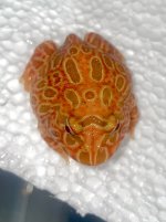 IMG_8607.jpeg