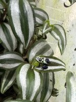 IMG_4478.jpeg IMG_4478.jpeg