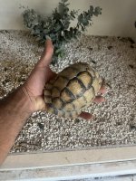 IMG_5032.jpeg