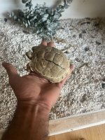 IMG_5033.jpeg