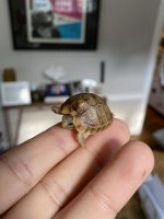 IMG_1432.jpeg
