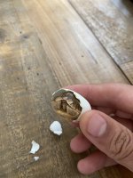 IMG_1404.jpeg