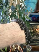 IMG_0330.jpeg