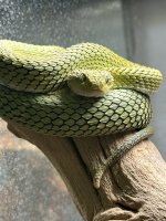 IMG_0798.jpeg