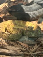 IMG_4825.jpeg