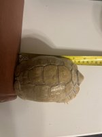IMG_5097.jpeg