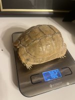 IMG_5095.jpeg