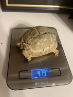 IMG_5096.jpeg