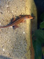 IMG_9187.jpeg