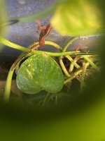 IMG_9172.jpeg