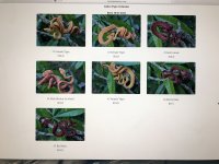 IMG_0631 2.jpeg