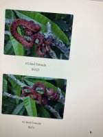 IMG_0632 2.jpeg