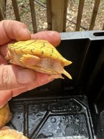 IMG_3154.jpeg