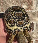 IMG_3124.jpeg